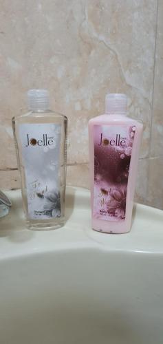 two bottles of soap sitting on top of a sink at Fountain Retreat oasis in Madaba