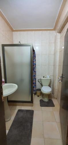 a bathroom with a toilet and a sink at Fountain Retreat oasis in Madaba
