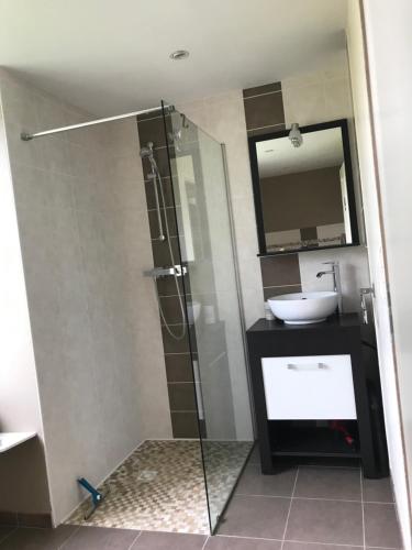 a bathroom with a glass shower and a sink at Chambre d'hôtes La Haie in Roz-Landrieux