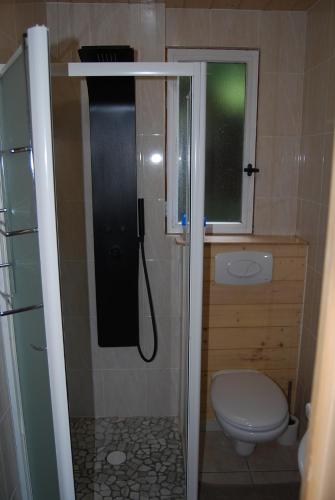 un piccolo bagno con doccia e servizi igienici di Chalet le Petit Coeur a Xonrupt-Longemer