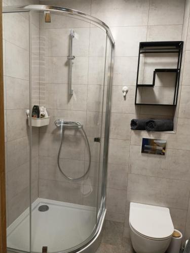 a bathroom with a shower and a toilet at Szum Łomnicy in Karpacz
