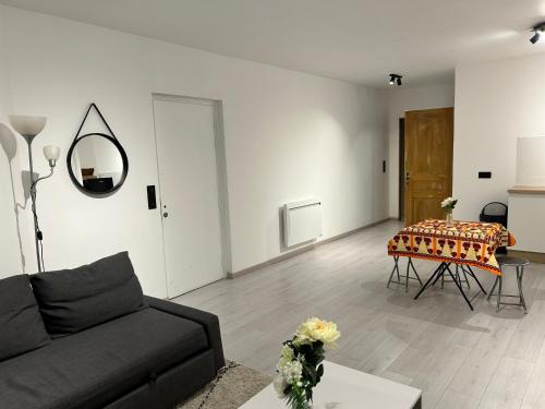 un salon avec un canapé et une table dans l'établissement Troyes centre - Rue Colbert, à Troyes