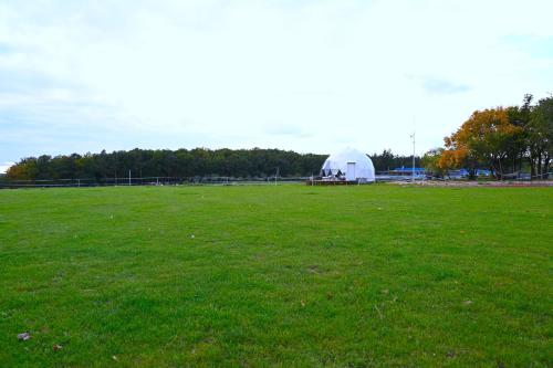 a field with a tent in the middle of a field at Farma Noe in Březina