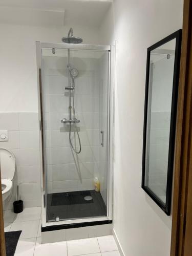 La salle de bains est pourvue d'une cabine de douche et d'un miroir. dans l'établissement Troyes centre - Rue Colbert, à Troyes