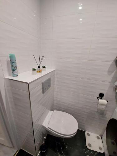 ein weißes Bad mit einem WC und einem Waschbecken in der Unterkunft Apartament Centrum 2 in Wałbrzych