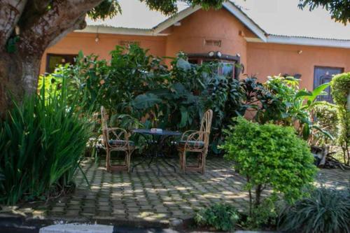 Κήπος έξω από το Alice Gardens and Campsite
