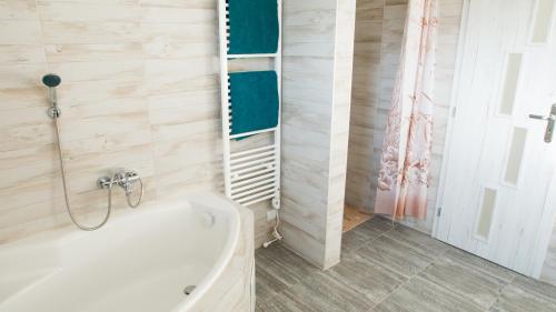 a bathroom with a bath tub and a shower at Royal House Trencin in Trenčín