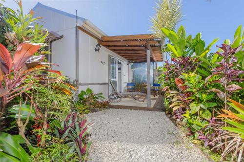 Zahrada ubytování Rarotonga Daydreamer Escape