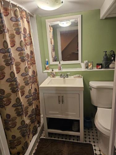 uma casa de banho com um lavatório, um WC e um espelho. em Cozy Queens Apartment 5 mins from LaGuardia and 1 min from train em Queens