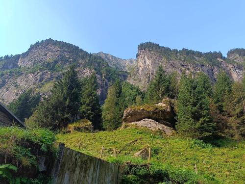 a waterfall on a hill with trees and mountains at APPARTEMENT EBERHARTER Conny in Zell am Ziller