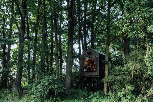 a tree house in the middle of a forest at KeepCalm Treehouse far from the civilization in Smidary