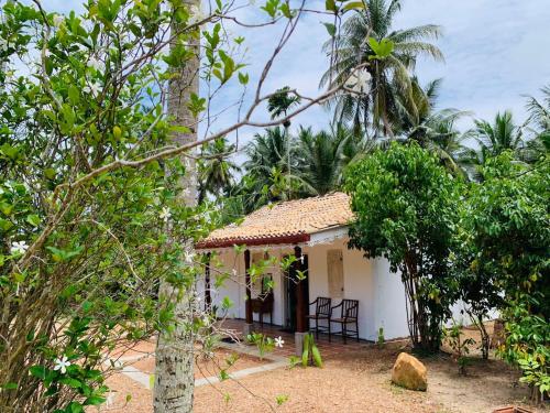 a small white house in the middle of trees at COCO RELAX AYURVEDA VILLAS in Hikkaduwa