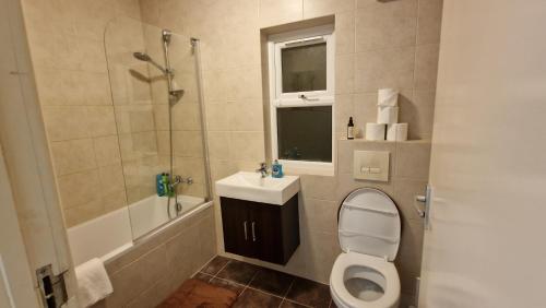 a bathroom with a toilet and a sink and a shower at cosy studio flat in London Camberwell in London
