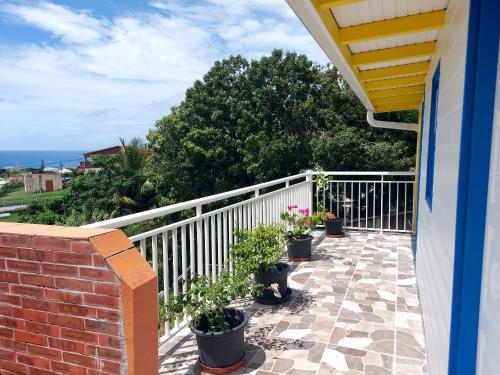a balcony with potted plants and a white fence at Maison charmante à Le Diamant avec vue sur mer et jardin in Le Diamant