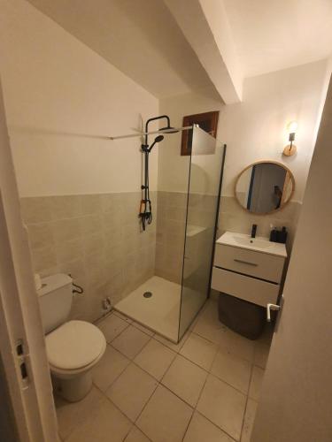 a bathroom with a toilet and a shower and a sink at Un Souffle de Vacances in Fort-de-France