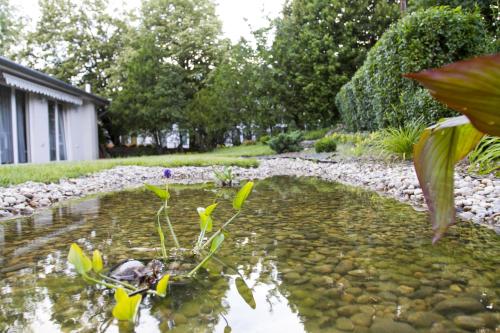 a pond in the backyard of a house at Classic Hotel in Budapest