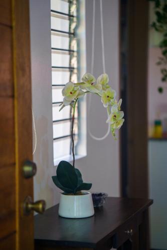 a plant in a white pot on a table at Weyh's Studio #1 by the ocean 100Mbps in Panglao