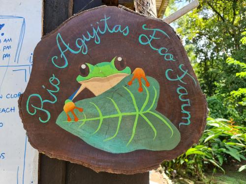 Rio Agujitas Eco jungle - Island and Corcovado tours