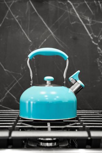 a blue pot sitting on top of a stove at Safari Vines Retreat in Escondido