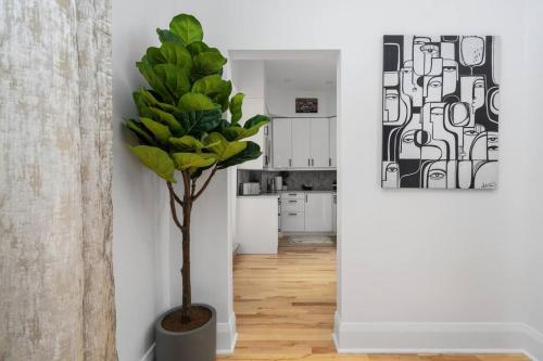 a plant in a pot in a room with a kitchen at Downtown Luxe: Metro, King Bed, Parking, Sleeps 6 in Montréal