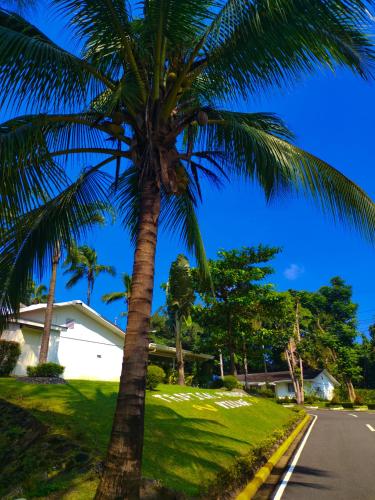 uma palmeira ao lado de uma rua em Tropical Paradise Retirement Village Inc em Sawat