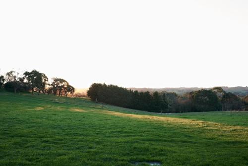 a field of green grass with trees in the background at Ross Farm - Cabin in Meeniyan