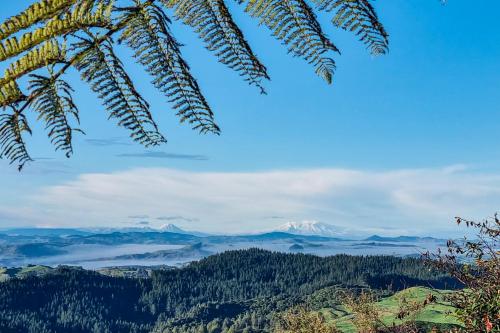 a view of mountains and forests with a palm tree at Te Tiro Accommodation in Waitomo Caves