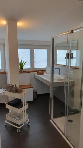 een badkamer met een wastafel en een glazen douche bij Ferienwohnung Weitblick in Offenburg