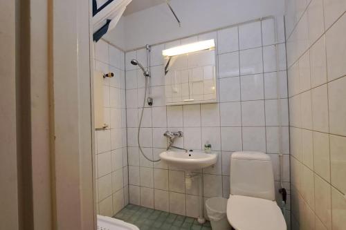 a bathroom with a toilet and a sink at Yksiö lähellä Himosta. in Jämsä