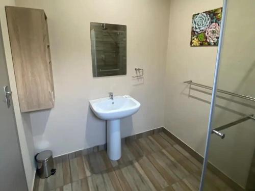 a bathroom with a white sink and a shower at Aloe Guest Rooms in Bloemfontein