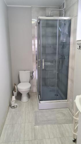 a bathroom with a toilet and a glass shower at Polna 40 in Zduny