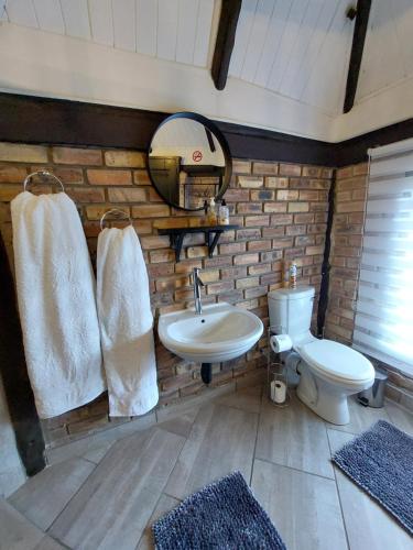 a bathroom with a sink and a toilet and a mirror at The Spare Room Cottage - cosy and private in Bloemfontein