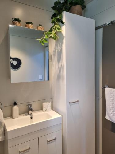 uma casa de banho com um lavatório e um espelho em PWL Healing Retreat Accommodation em Rotorua