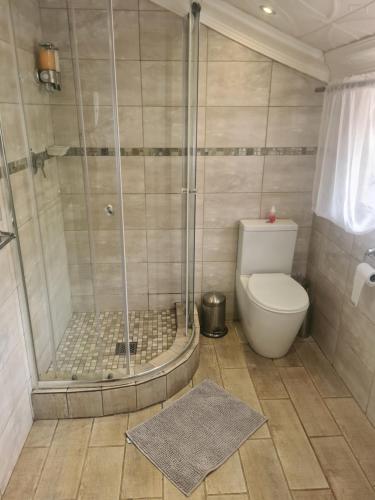 a bathroom with a shower and a toilet at Royal Villa Guesthouse in Brakpan
