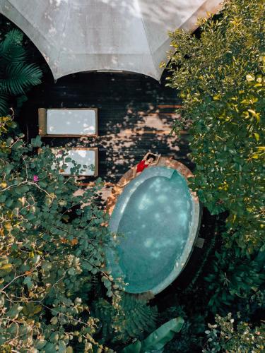 an overhead view of a swimming pool with plants at Sandat Glamping Tents in Ubud