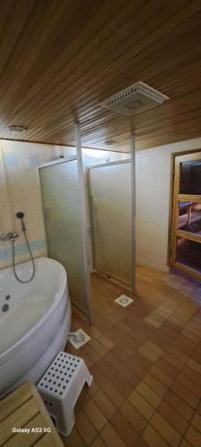 a bathroom with a sink and a toilet in a room at Nat, asunto lähellä kaikkea in Kemijärvi