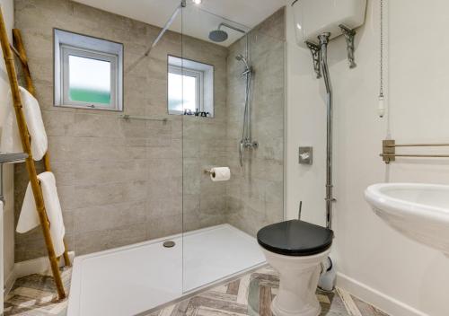 a bathroom with a shower and a toilet and a sink at High Trees in Carmarthen