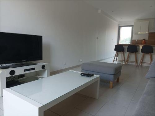 a living room with a tv and a couch at La petite Jarlandine in Château-Arnoux-Saint-Auban