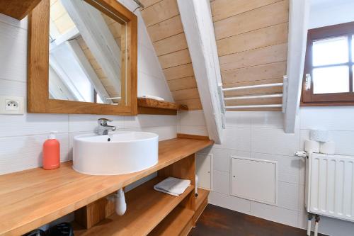 een badkamer met een wastafel en een spiegel bij Au Nid d'Hirondelles in Ribeauvillé