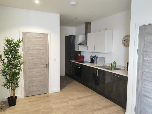 uma cozinha com armários a preto e branco e uma planta em Modern Two Bedroom Apartment - Central Peterborough em Peterborough