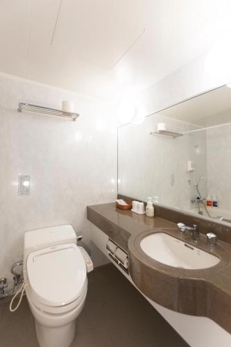 a bathroom with a toilet and a sink and a mirror at Kiyosato Onsen Hotel Ryokuseisou in Kiyosato