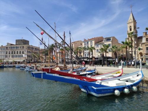 um grupo de barcos está ancorado num porto em La Bastide, 100m des rues piétonnes, jardin em Sanary-sur-Mer