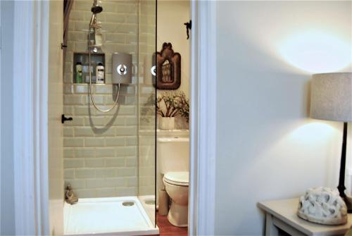 ein Bad mit einer Dusche und einem WC in der Unterkunft Hampton Court Snug Sleeps 6 - 5min Walk to Palace and Train in East Molesey
