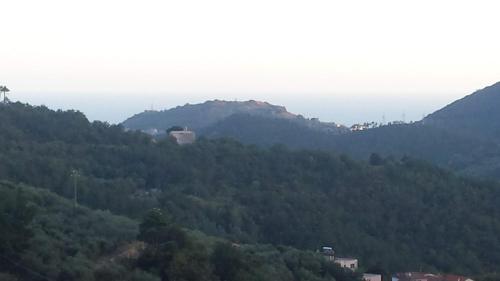 una vista de una colina con árboles y un edificio en ella en CASA MELISSA, en Tovo San Giacomo
