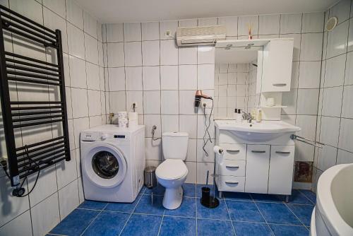 La salle de bains est pourvue de toilettes et d'un lave-linge. dans l'établissement Holiday Home Aleks, à Lendava