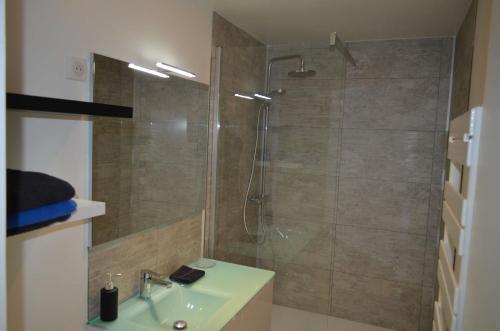 uma casa de banho com um chuveiro e um lavatório. em Gite Saint Martin em Pargny-lès-Reims