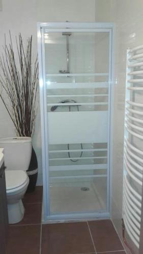 La salle de bains est pourvue d'une douche en verre et de toilettes. dans l'établissement Les Iris, au Bourg-dʼOisans