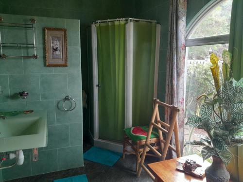 SAVY'S PLACE photo 3