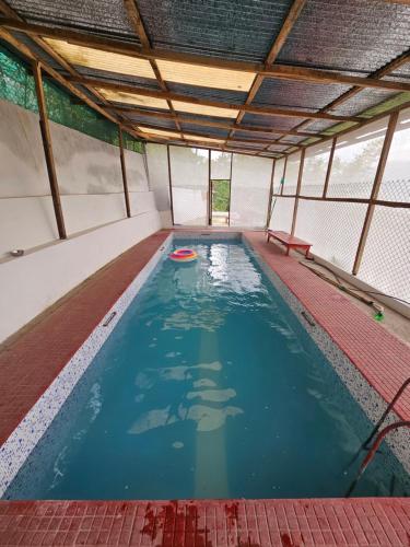 - une piscine avec un frisbee dans l'eau dans l'établissement Godhuli Eco Stay, à Kalimpong