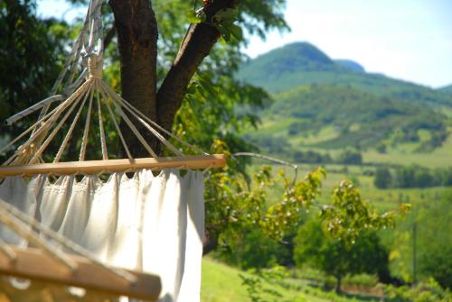 a hammock with a view of a vineyard at Sárga Ház in Káptalantóti